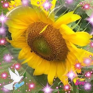 Meet your Posher, Carolyn